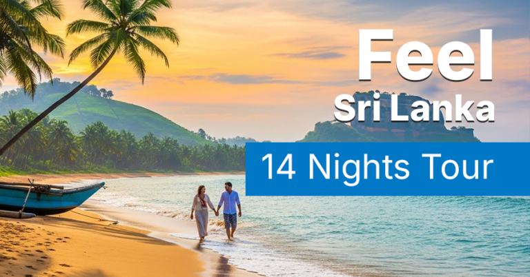 Feel Sri Lanka  – 14 Nights Tour